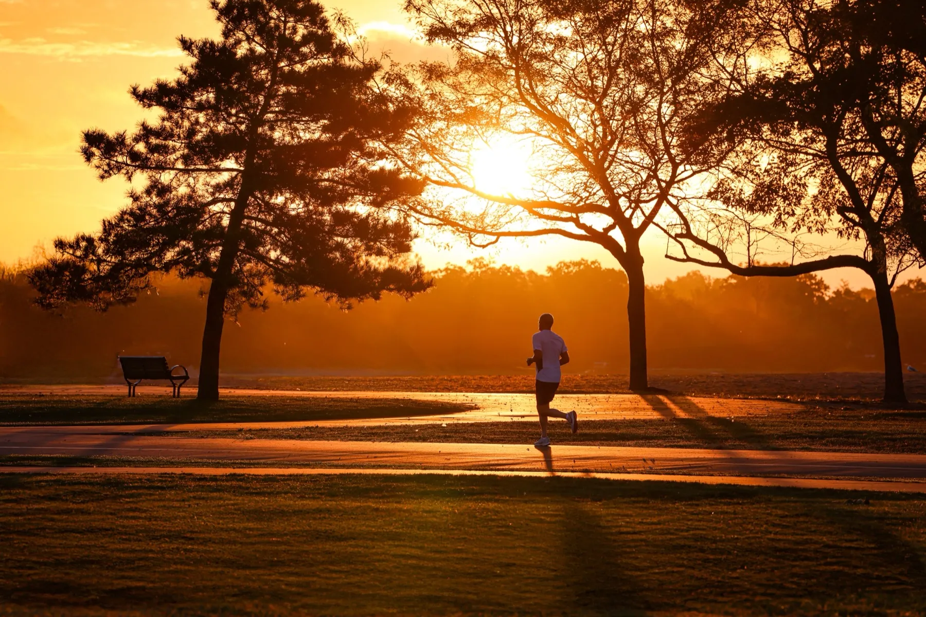 A runner at sunrise on a coastal path.